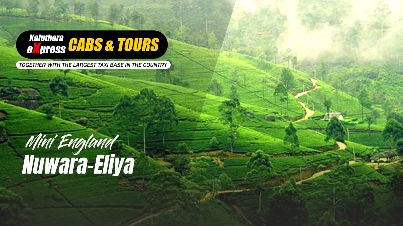 Nuwara Eliya Day Tours