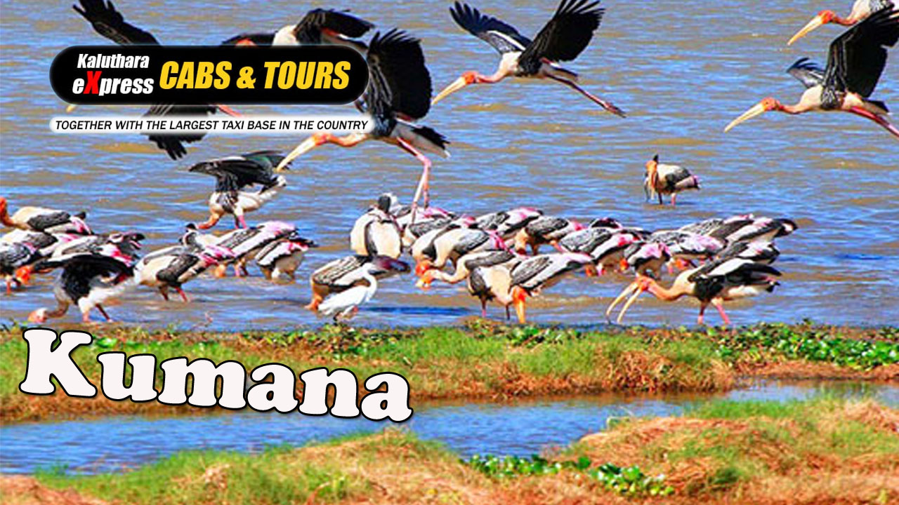 Kumana National Park