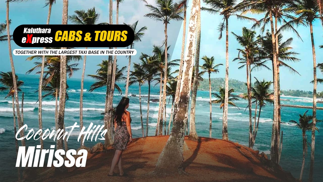 Mirissa Day Tours