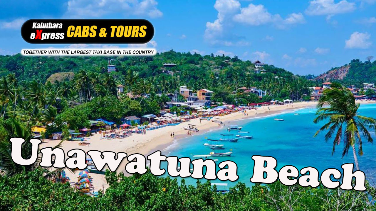 Unawatuna Day Tours