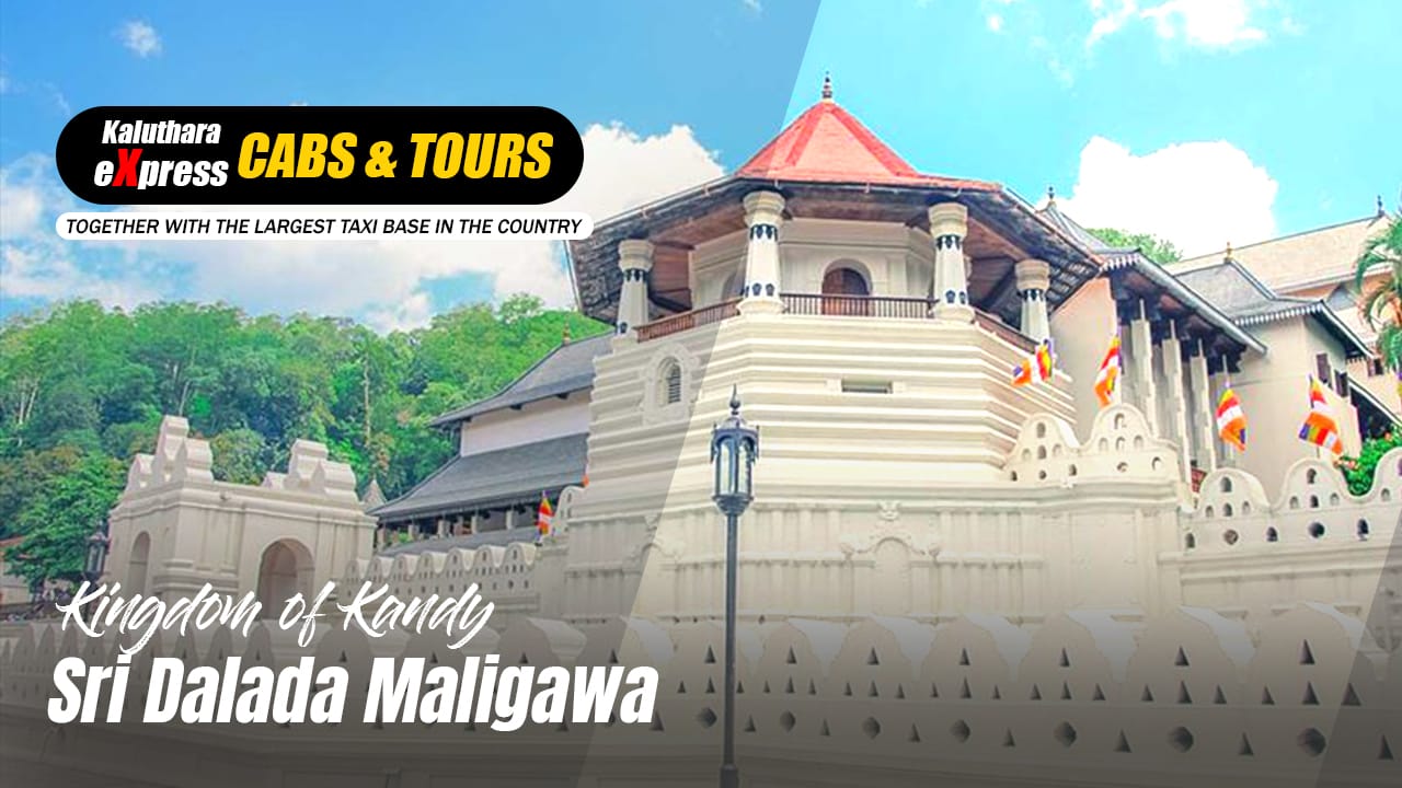 Kandy Tours